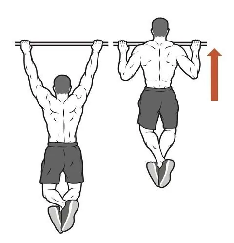 Pull-Up Program: From 0 to 10 Reps in 8 Weeks
